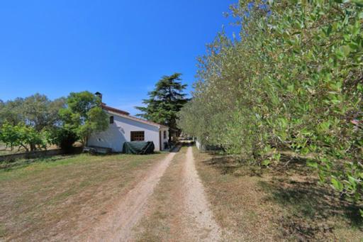 Apartmani Pjer 2 Bibinje Εξωτερικό φωτογραφία